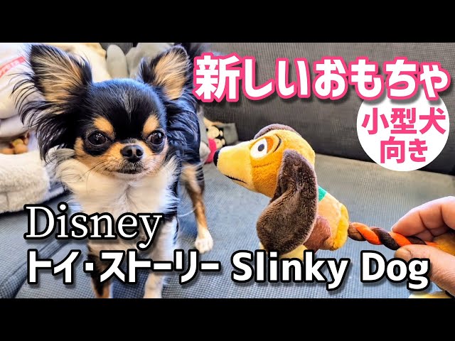 激レア スリンキードッグ 、レニー、スカッド シドの犬 楽天市場