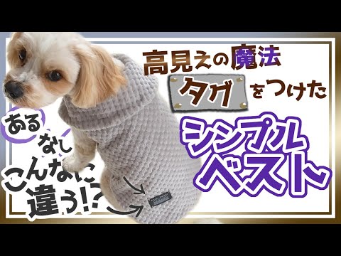タグをつけただけなのに！高見えシンプルベスト【わんこ服】 - YouTube