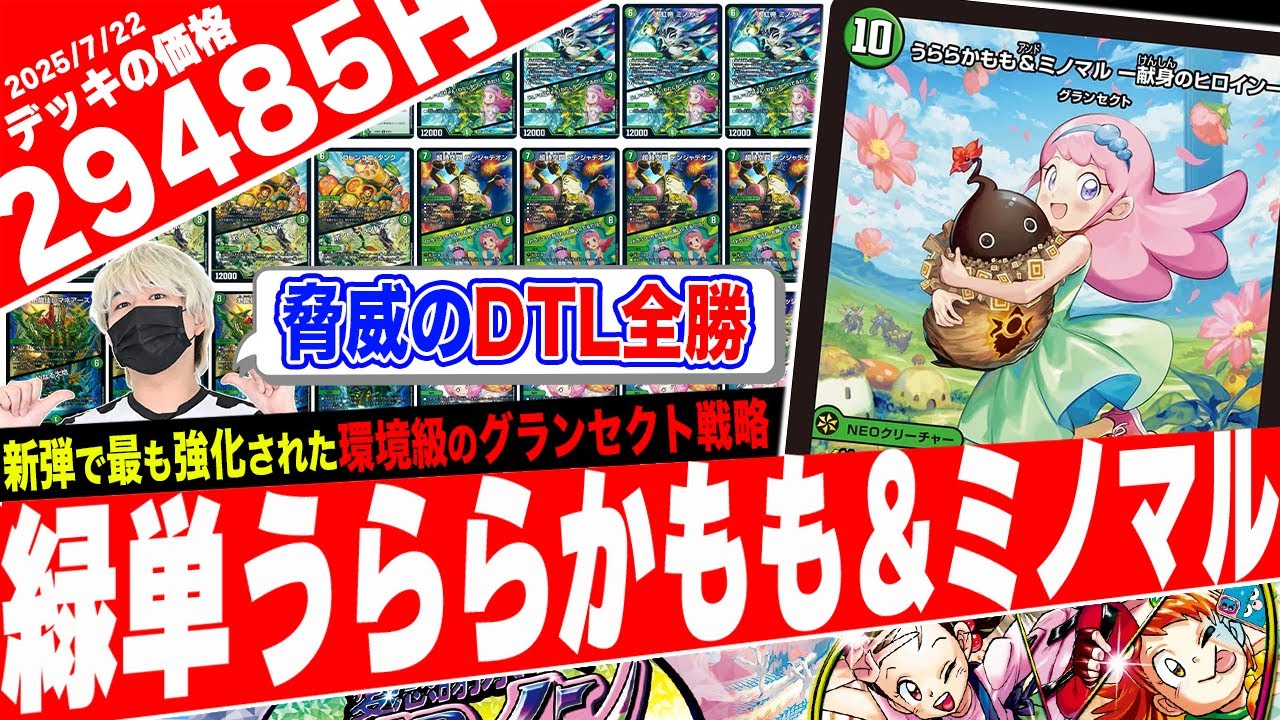 キャベツデッキ セット キャベツデッキ セット キャベッジ デッキ」の