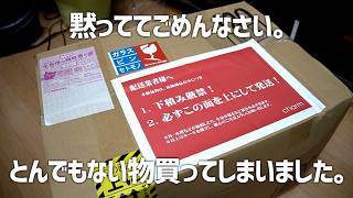 人生初。ヤバイ商品をとんでもない値段で買ってしまった。#583