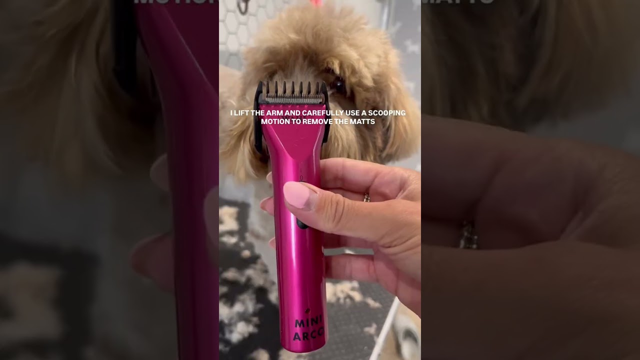 WAHL - Mini Arco Cordless Trimmer - Christina the Dog Groomer