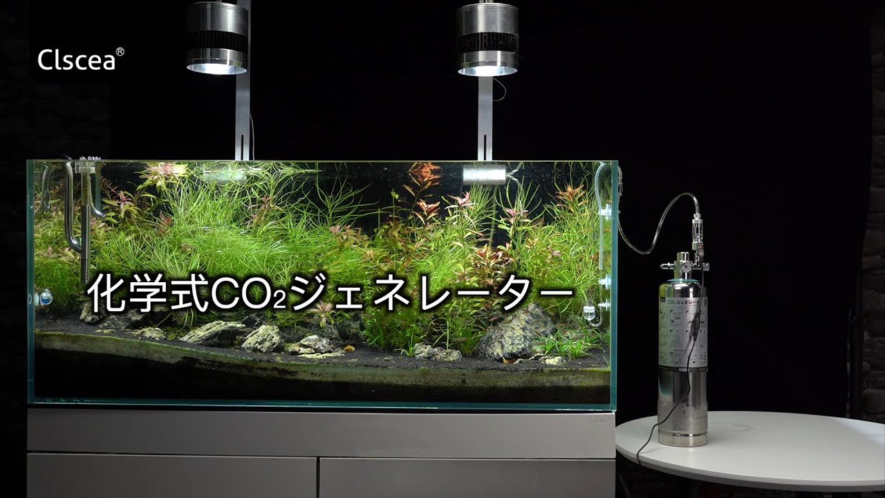 Clscea 化学式CO2ジェネレーター解説 化学反応式CO2発生器 （水草水槽