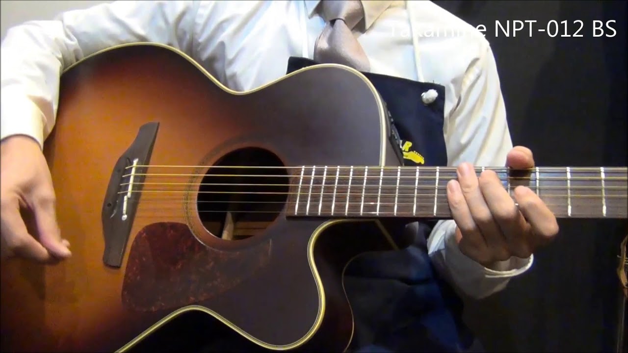 タカミネ NPТ-012 タカミネ NPТ-012 タカミネ NPТ-012 Takamine Np