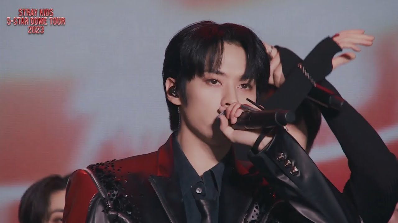 230728LN】リノ ビーズ 5star ドーム StrayKids スキズ