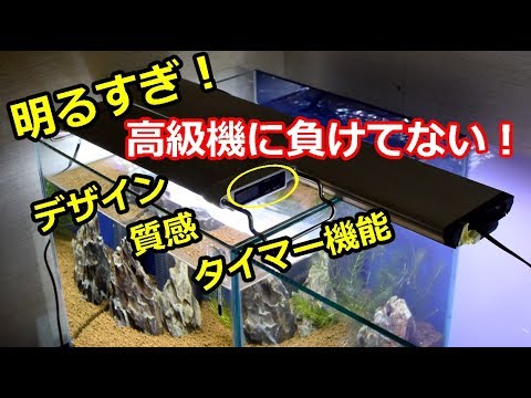明るすぎ！高級機に負けないLED「テトラ パワーLEDプレミアム」 - YouTube