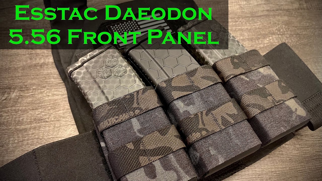 Esstac Daeodon Front Panel: First Impressions - YouTube