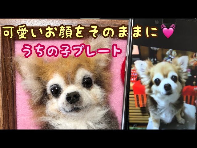 うちの子プレート】ずーっと一緒！！羊毛フェルトわんこ達～わたわた