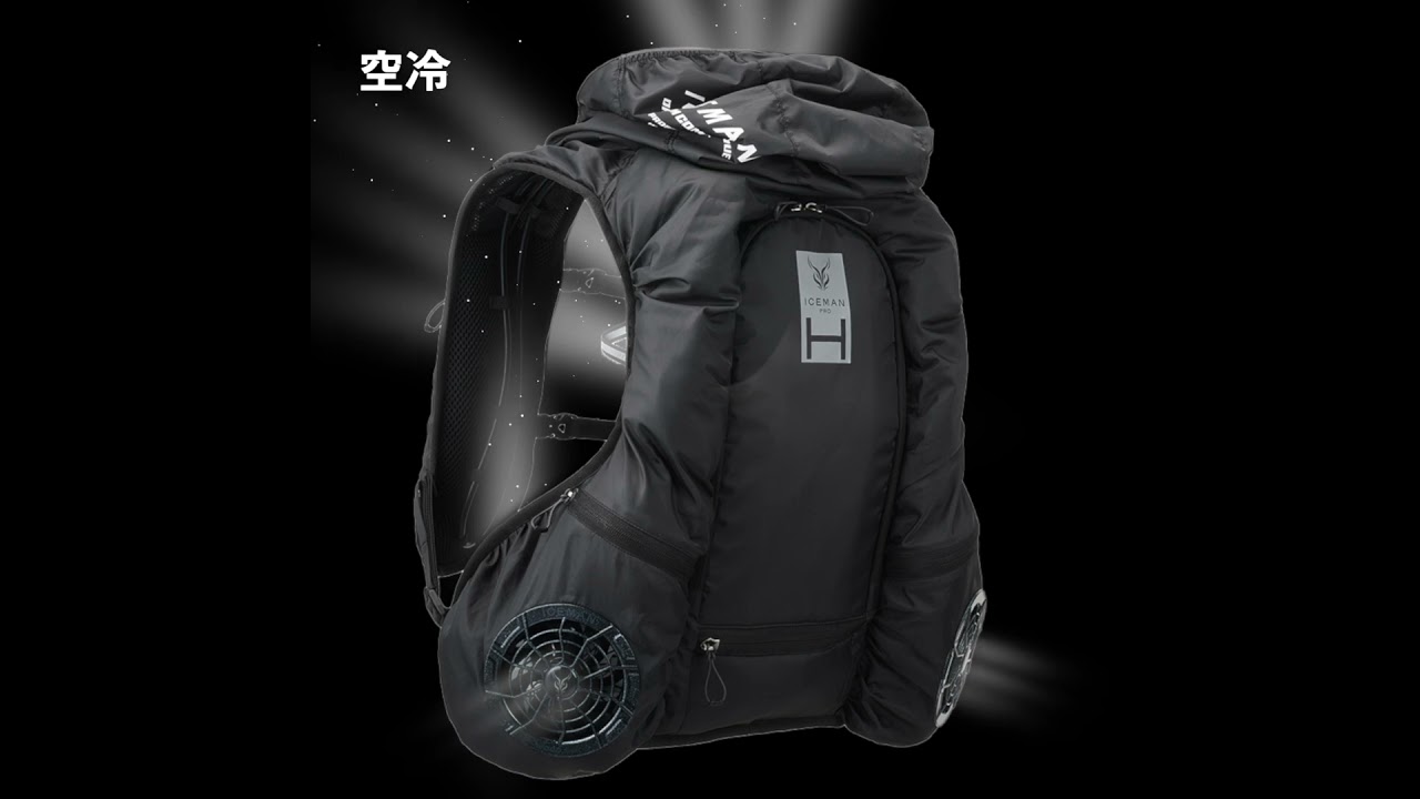 ヒラヤマの雪男様 アントノフ2点 ヒラヤマの雪男様 アントノフ2点 露中