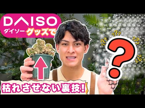 そらベジ🥝ガーデンハック - YouTube