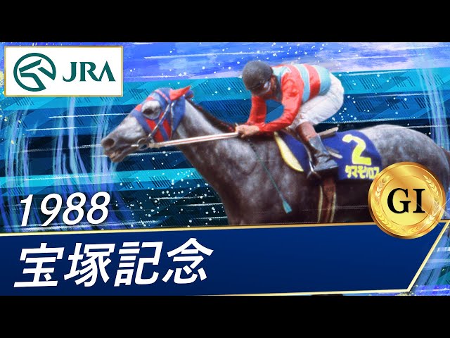 稲妻2世芦毛タマモクロス写真パネル（1988年12月25日中山有馬