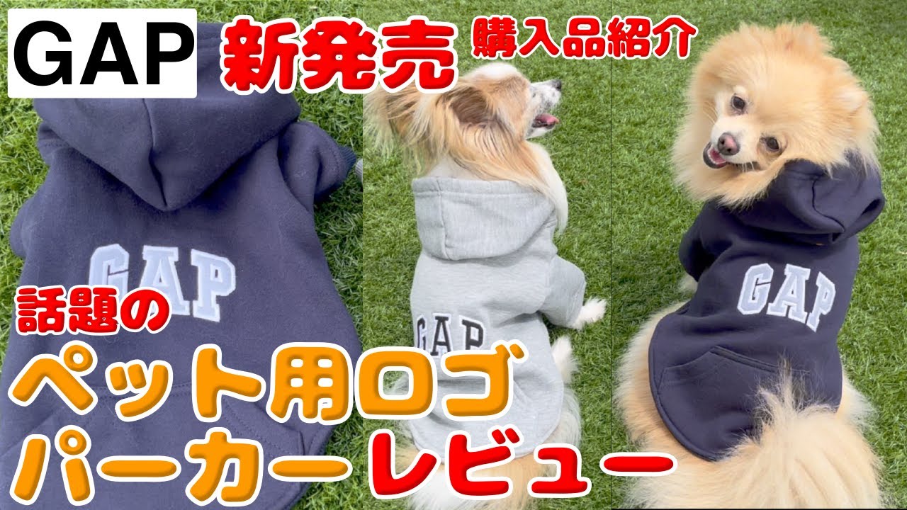 Very popular!The [GAP] hoodie for pets is super cute💕I bought