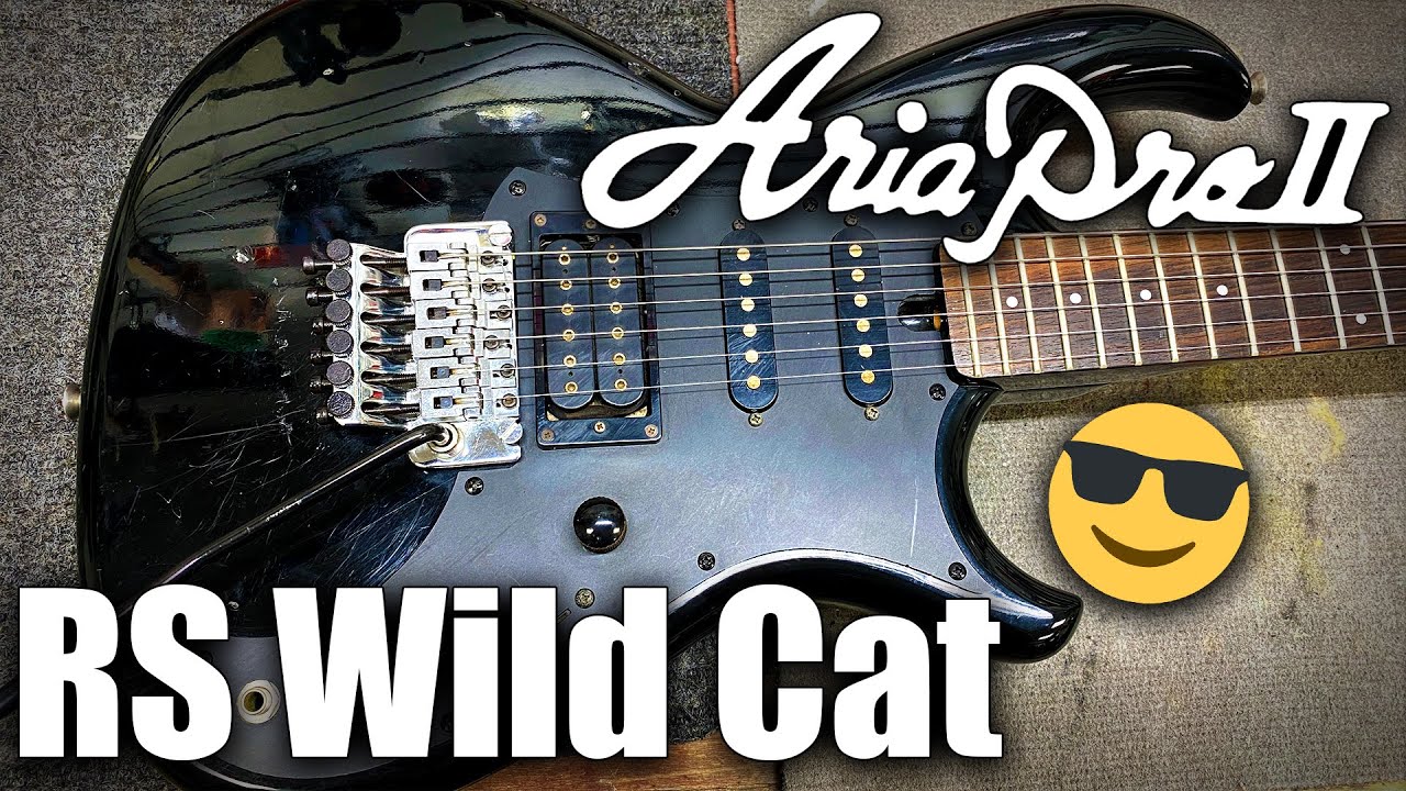 調整済】Ariaproii アリアプロ WILDCAT DX ギター 訳有 調整済