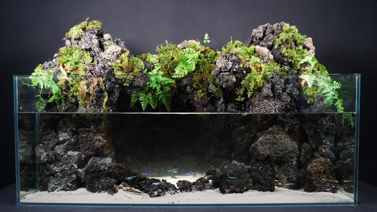 滝壺アクアテラリウムを作ってみた - YouTube