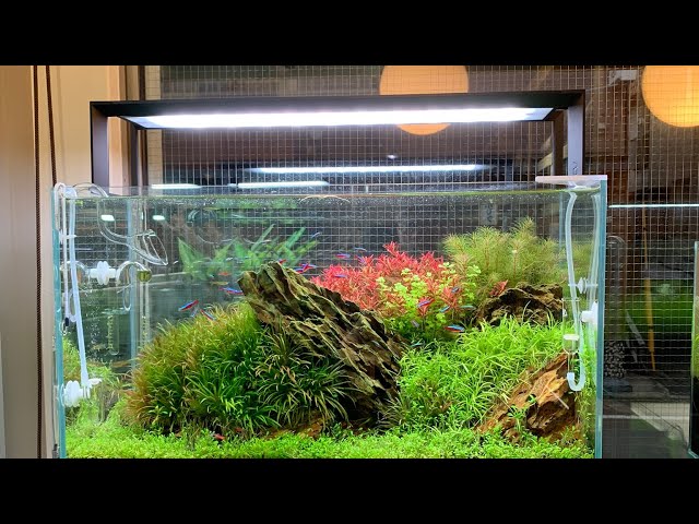 ADA AQUASKY602（アクアスカイ602） ADA アクアスカイ602 ADA アクア