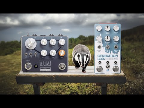 Bleep labs THE DELAYDELUS ジャンク Bleep labs THE DELAYDELUS