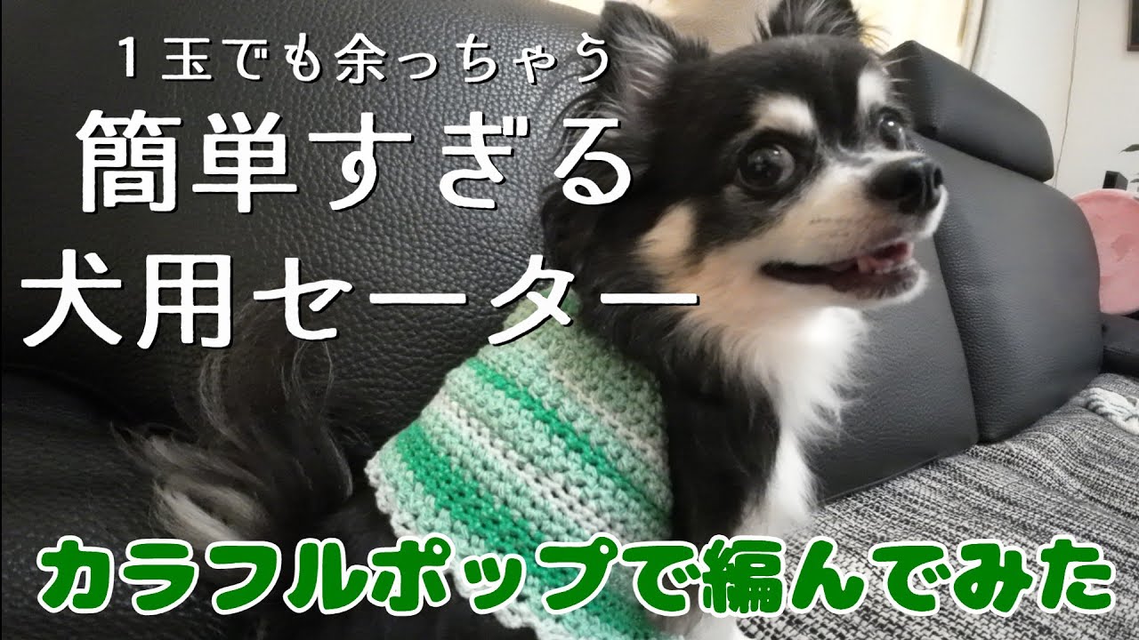 Cute dog sweater!! Double the Cuteness! Hand-Knit Tutorial for Dog