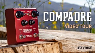 strymon 【アンプ・エフェクターセール！】 COMPADRE 【dual voice