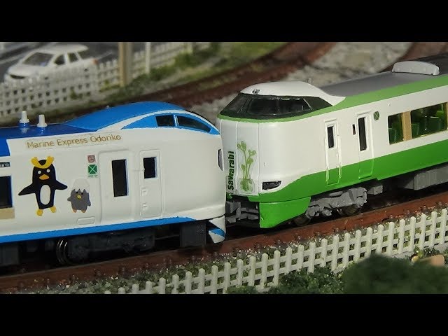 6両極上シート色仕上 室内灯入 E259系 マリン踊り子 TOMIX 特製限定 6