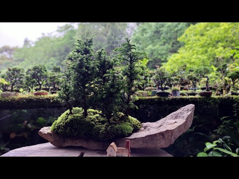 中国 玉石寿山石彫刻 小さな植木鉢 盆栽鉢 V 8759E 中国 玉石寿山石