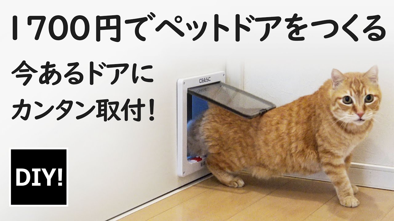 猫好きさん必見 DIY】￥1,700でできる！内装ドアに猫用の出入り口を