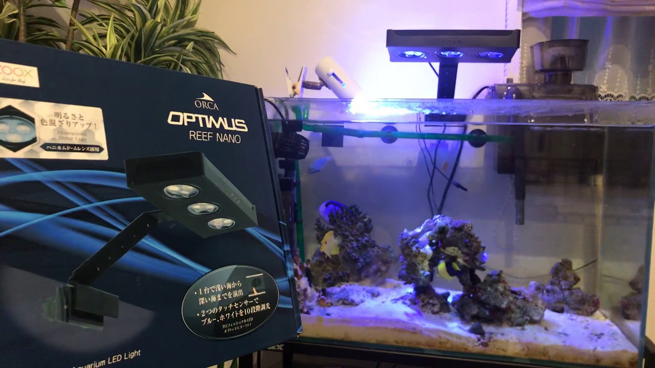 ZOOX オルカ オプティマス リーフナノ LED照明 OPTIMUS REEF NANO