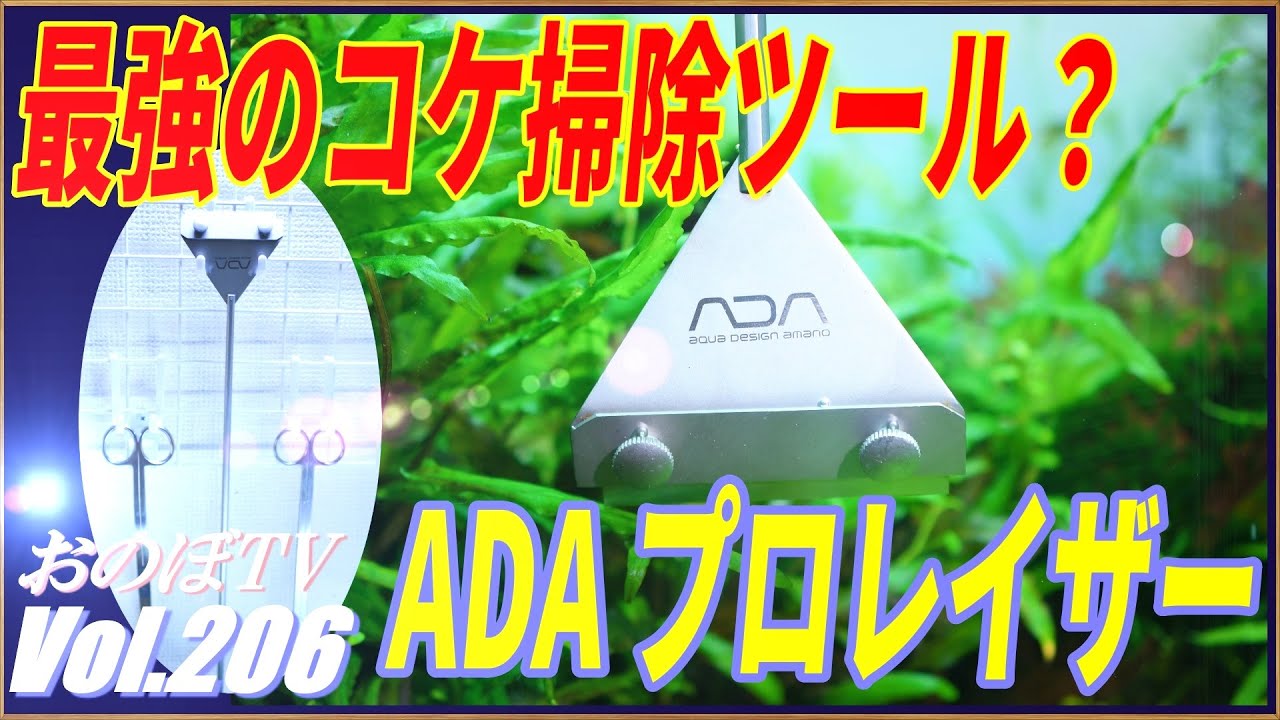 ADA プロレイザー】最強のコケ取りツールか！？プロレザーの良い面