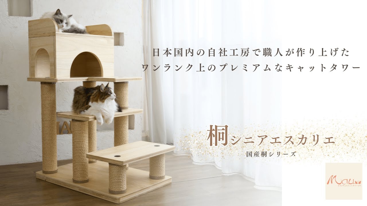 Mauタワー国産桐シニアエスカリエ 商品一覧 キャットタワー専門店Mau