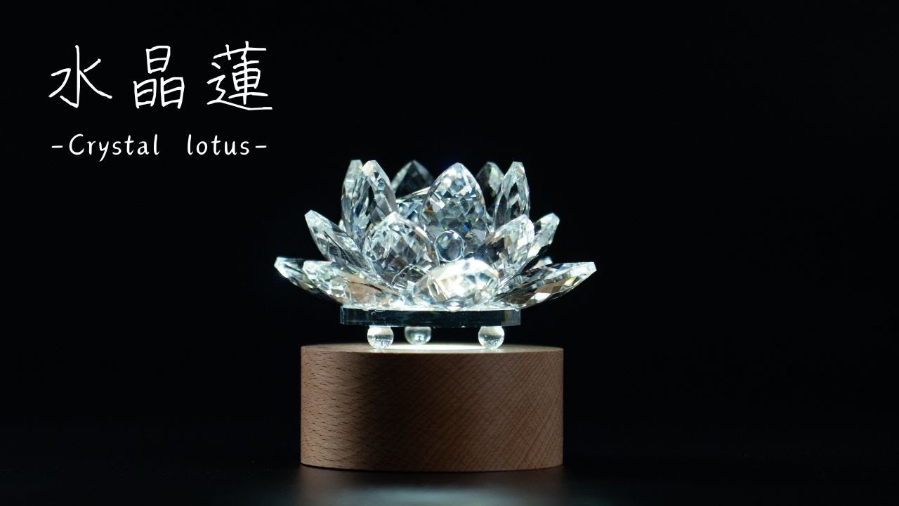 水晶蓮 -crystal lotus- 120サイズ - 【公式】カイドク館