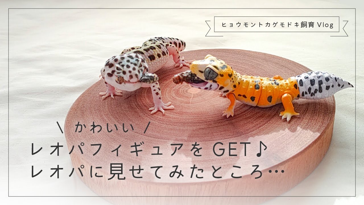 限定188個! ヒョウモントカゲモドキ レオパ フィギュア 高さ30センチ