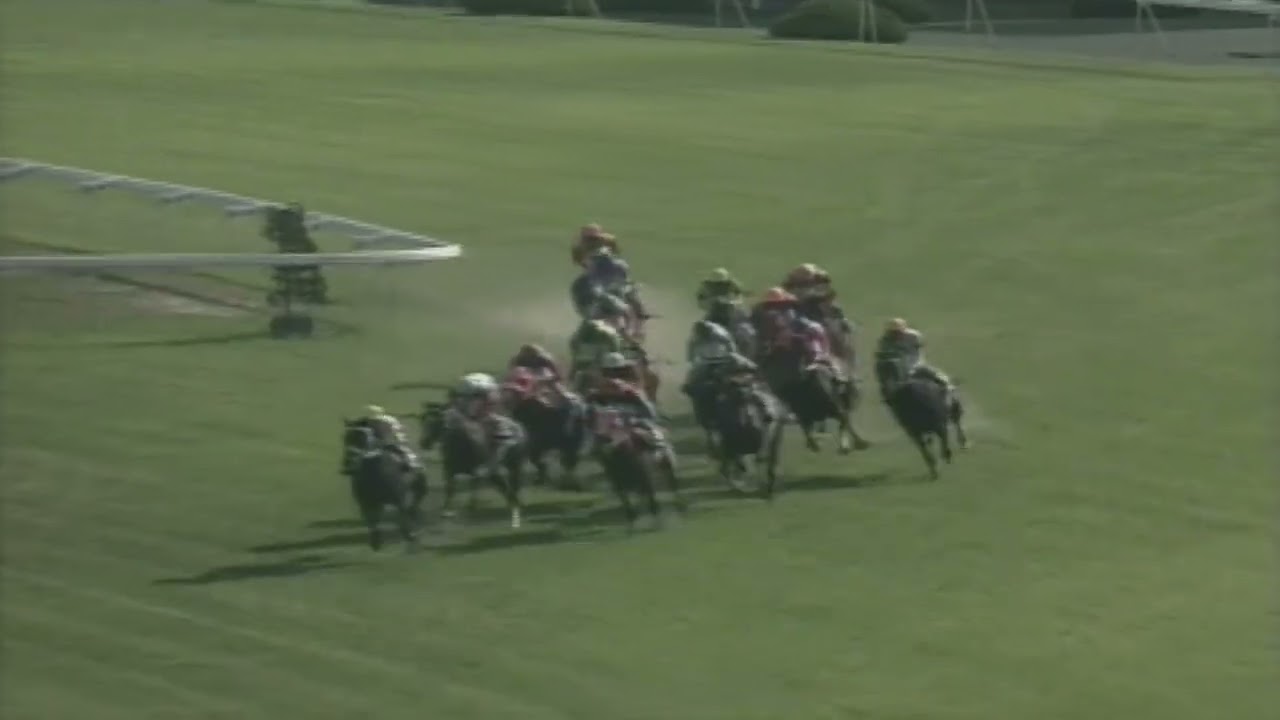 1997年 天皇賞・春 マヤノトップガン - YouTube