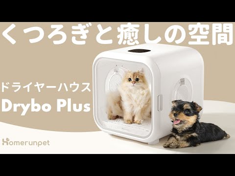 Homerunpet | Drybo Plus ベッドにもなるペット用ボックスドライヤー