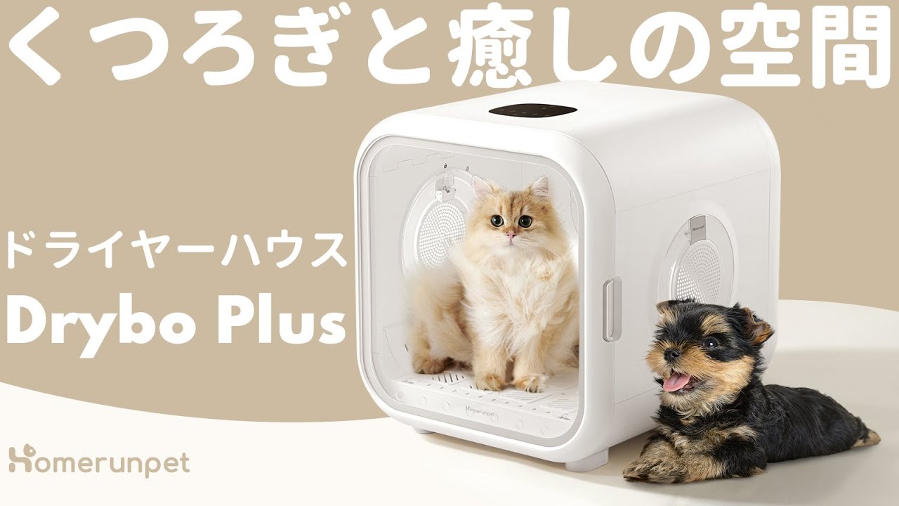 Homerunpet | Drybo Plus ベッドにもなるペット用ボックスドライヤー