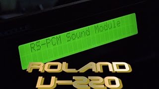 Roland U-220 RS-PCM Sound Module - What To Know & Where To Buy