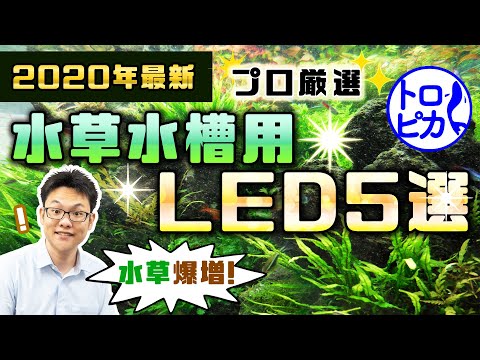 2020年最新】水草水槽用おすすめLED5選！水草爆増します - YouTube