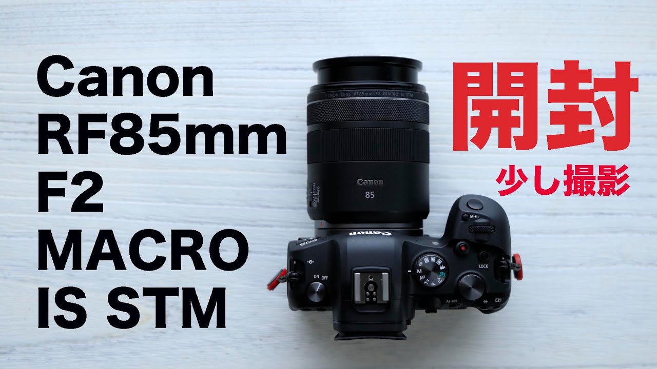 Canon RF85mm F2.0 MACRO IS STM 保証期間内 Canon RF85mm F2.0 MACRO