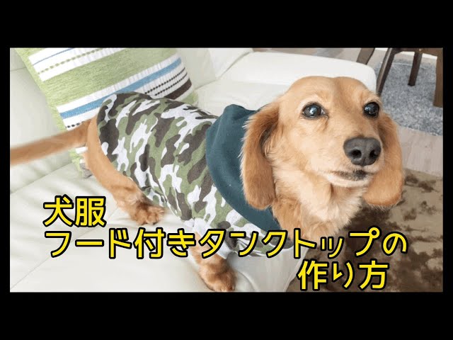 犬服フード付きタンクトップの作り方 犬服ハンドメイド - YouTube