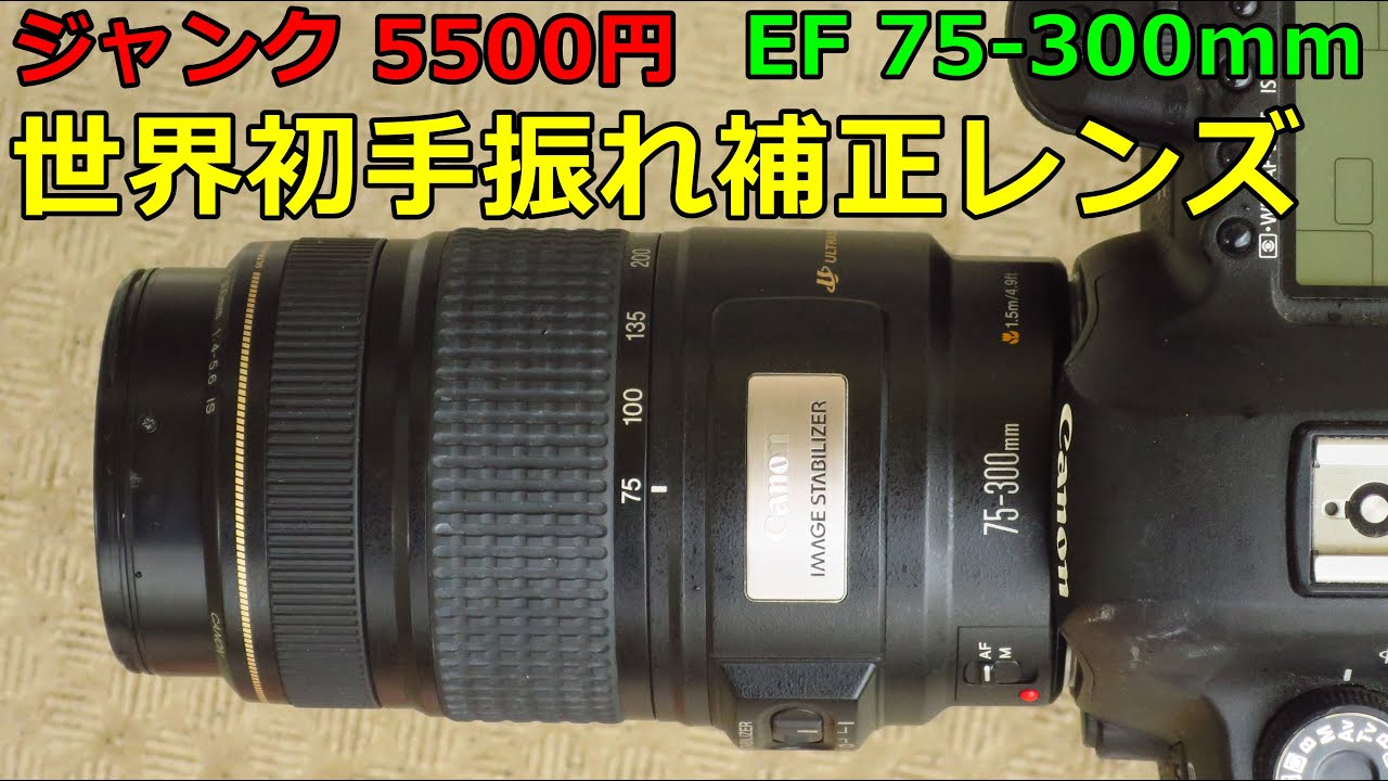 イベントに大活躍☆望遠レンズ☆キヤノン☆Canon EF75-300㎜ 【公式通販】
