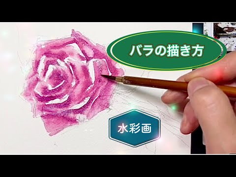 Watercolor painting course 95 for beginners] How to draw roses