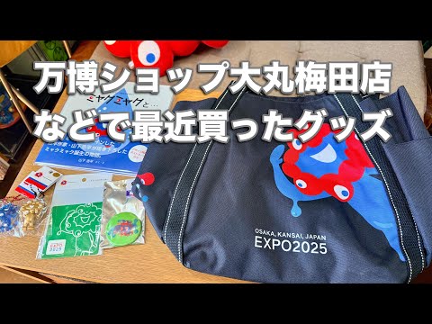 Episode 345] What I bought at the Expo Official Shop [Daimaru