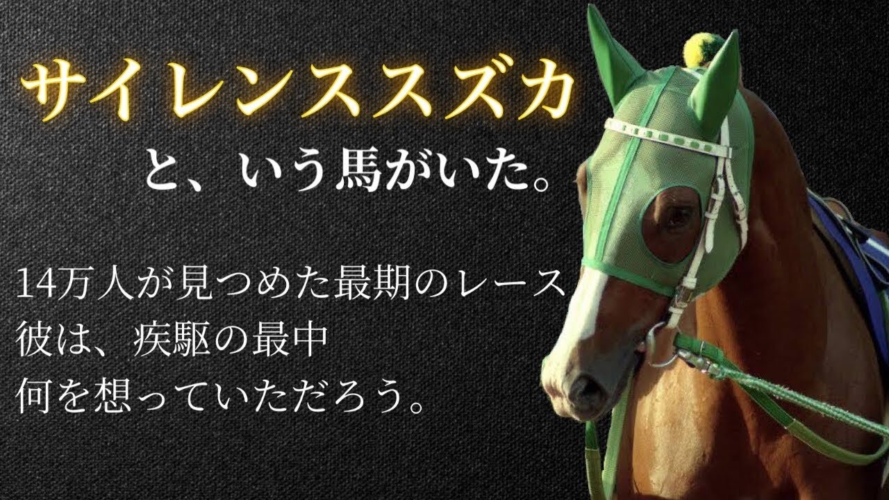 第49回 毎日王冠優勝馬サイレンススズカ馬券、ぬいぐるみ等セット