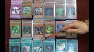 本格構築 ／バスターデッキ スターダストドラゴン／バスター バスター