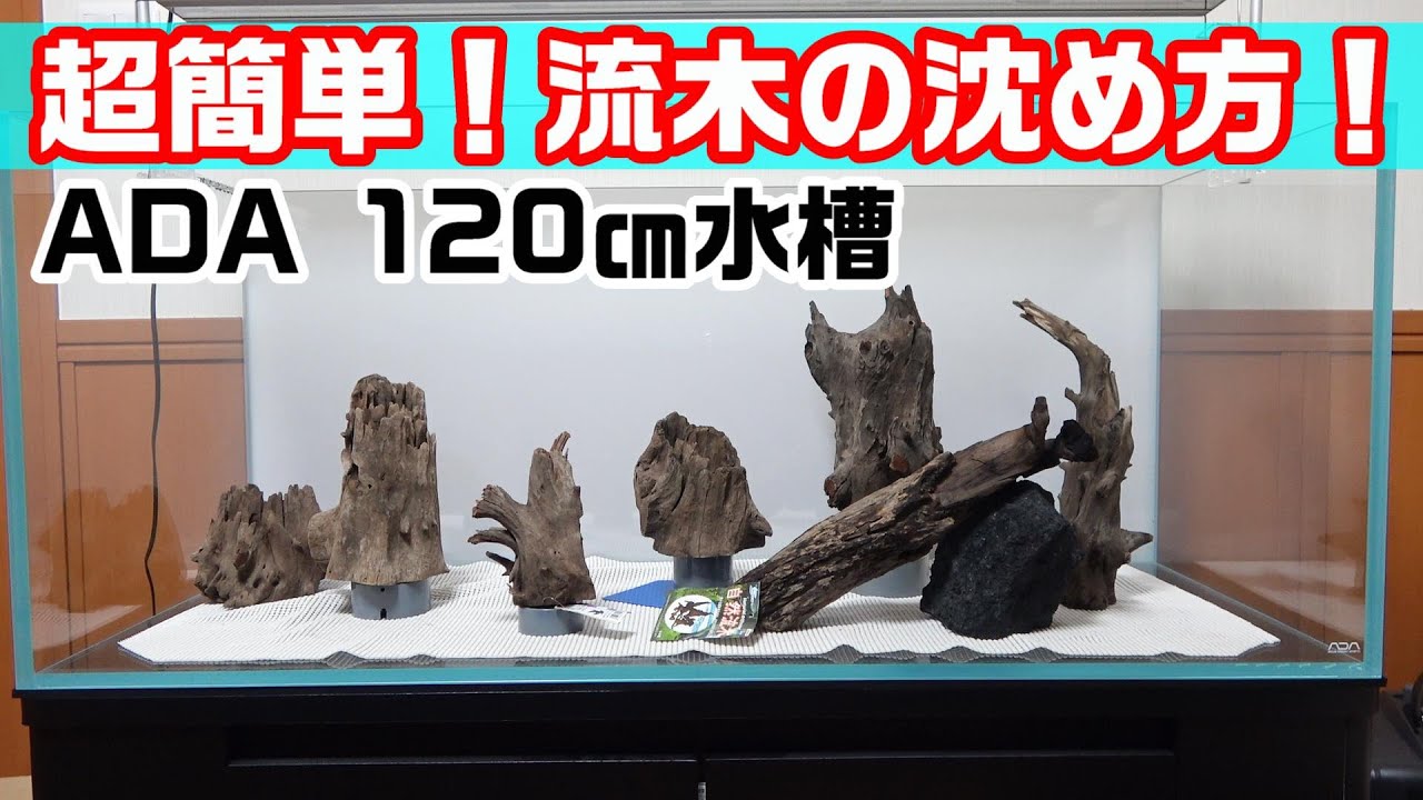 Aquatic plant layout aquarium: How to sink floating driftwood