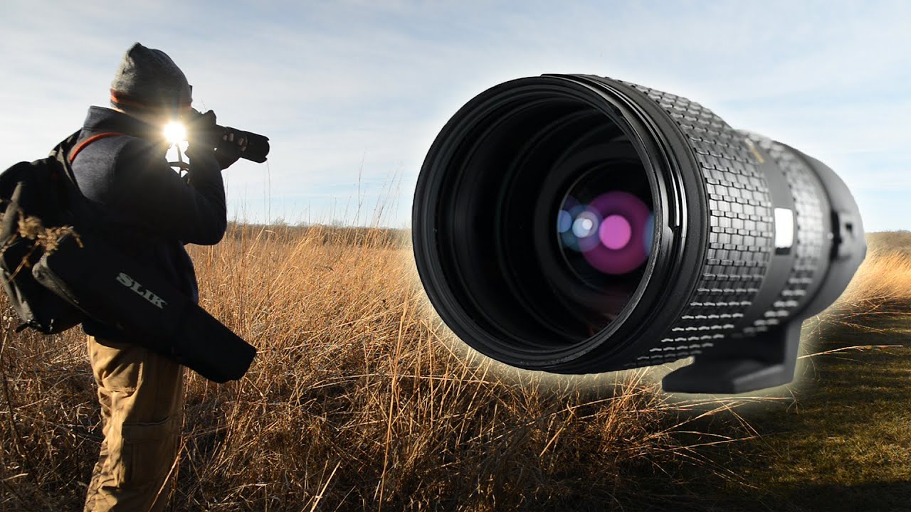 Sigma 100-300mm f/4 APO For Nikon Photo Excursion and Review - YouTube