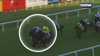 ビジネス・経済 HIT WIN VICTORY II OF HORSE RACE ビジネス・経済 HIT