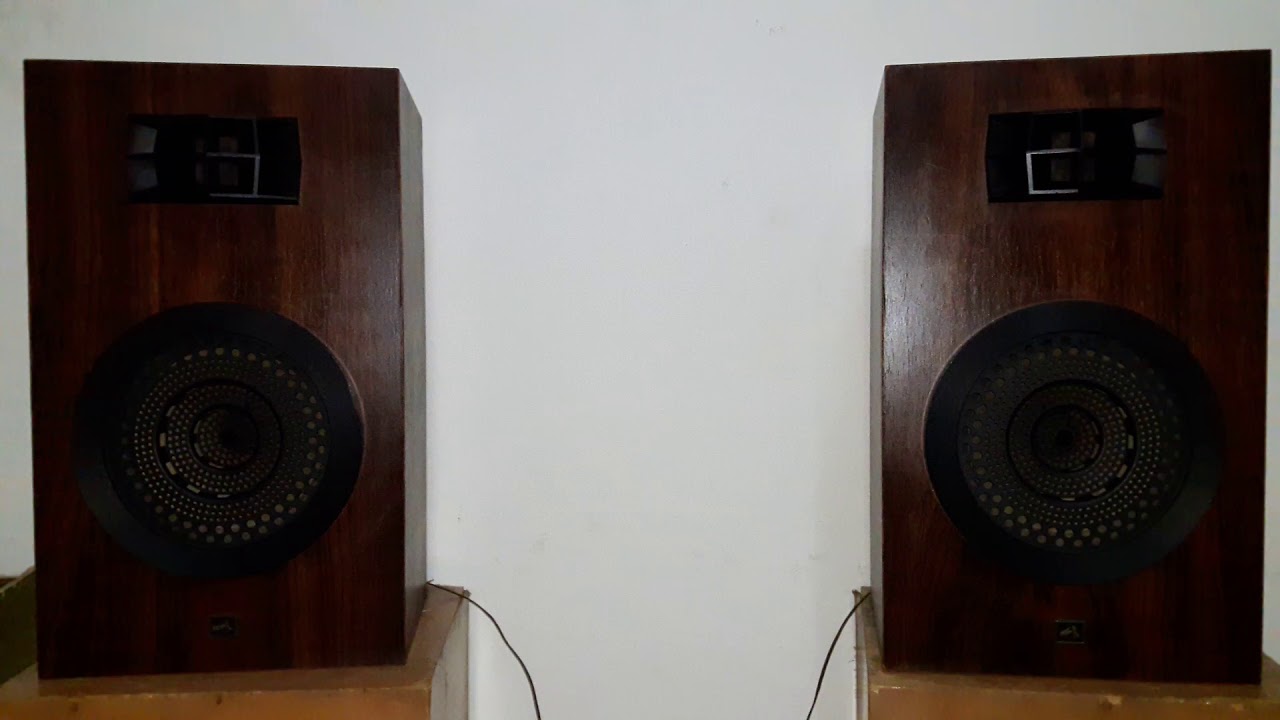 VICTOR ビクター MS-503 スピーカー 2個セット ペア 電化製品 MS-503