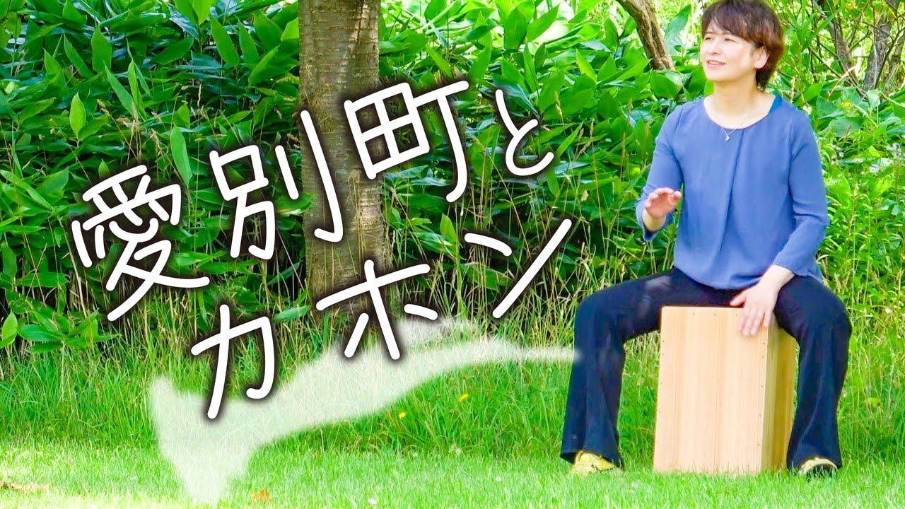 Decora 43 カホン ケースセット 北海道アトリエブラ愛山工房 Decora 43