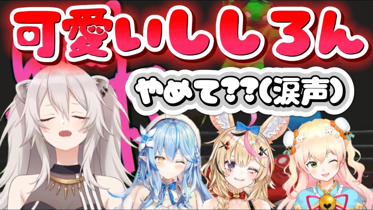 ねぽらぼ】普段はクールなししろんが見せる可愛さがたまらない【獅白