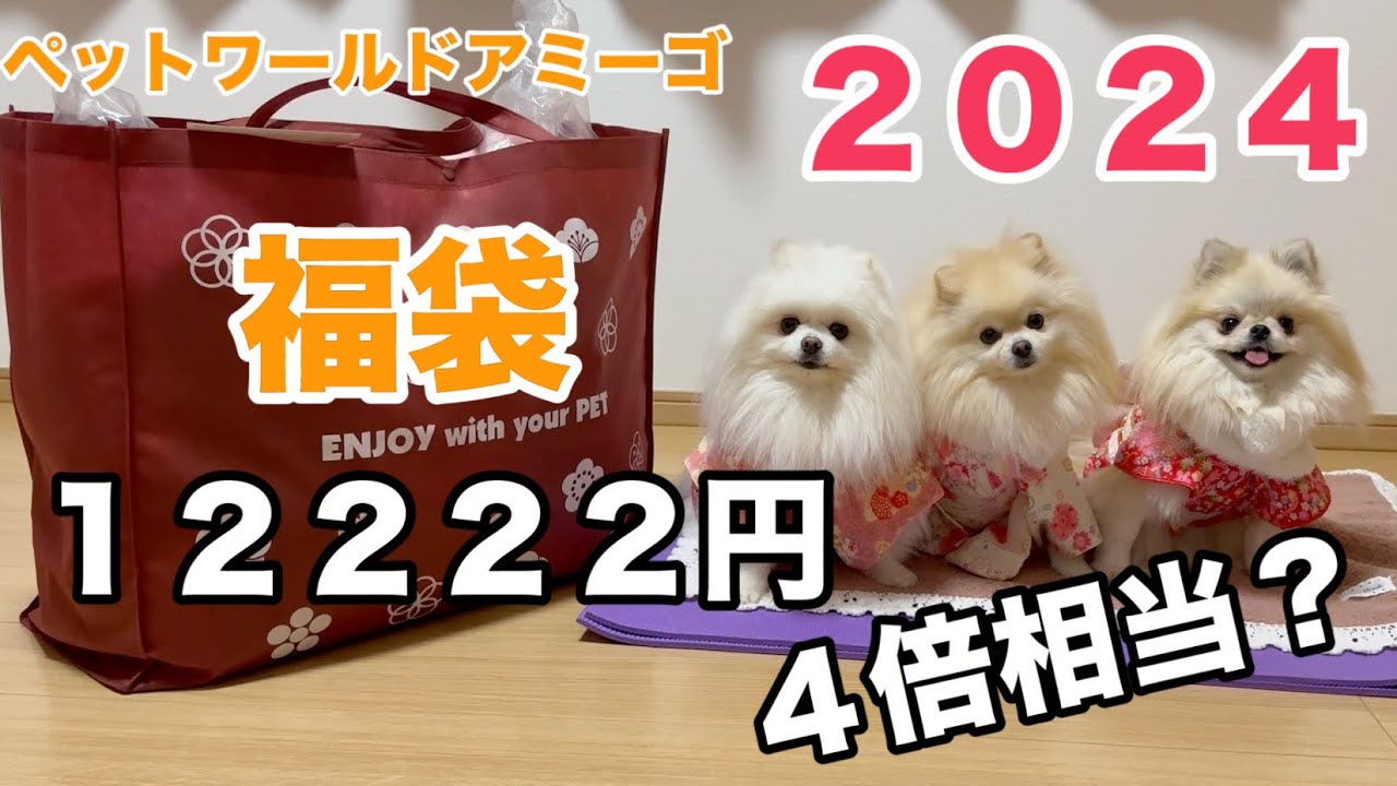 I opened the most expensive dog lucky bag at the New Year's sale