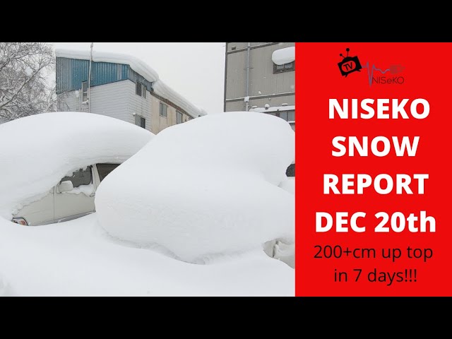 Niseko Snow Report, Dec 20th, 2020. Over 200cm in 7 days! Crazy