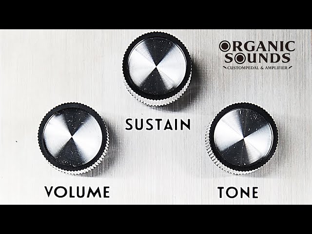 Organic Sounds】The Triangle - YouTube